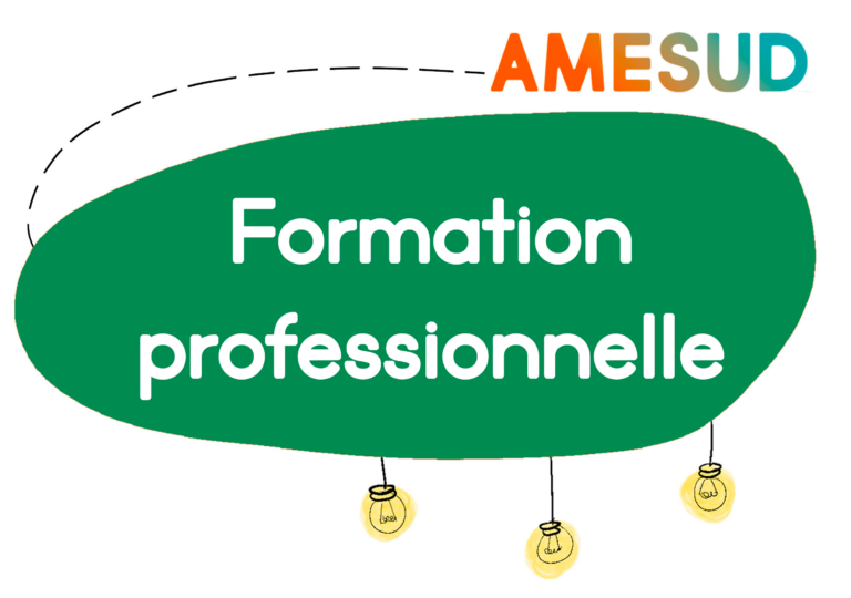 Formation professionnelle