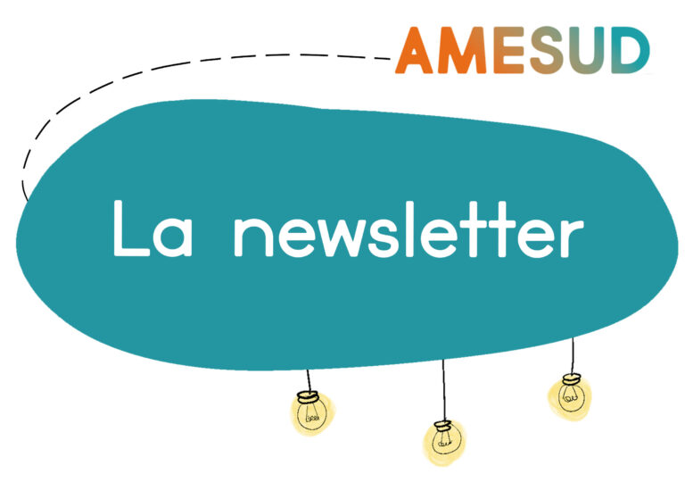 La newsletter